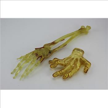 5 Assorted Anatomy Part Models & An Ammonite Sculpture