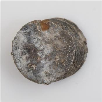 5 Silver Coins Melted Together