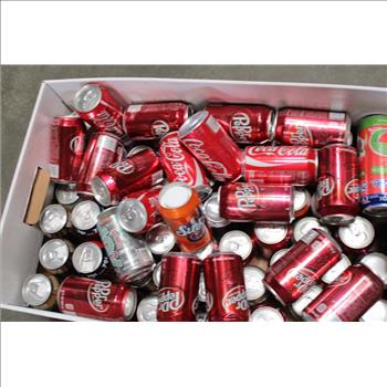 50+ Soda Can Hidden Safes