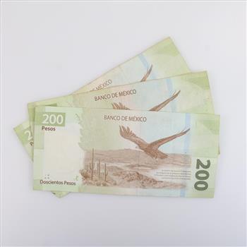600 Mexican Pesos