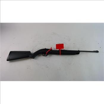 760 Pumpmaster Air Rifle