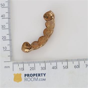 9kt Gold Carved Dental Grill