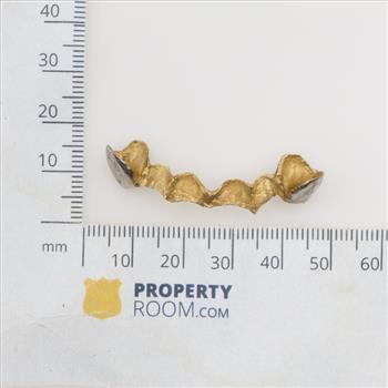 9kt Two Tone Gold Dental Grill