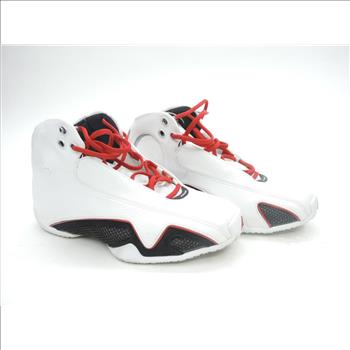 Air Jordan XXI
