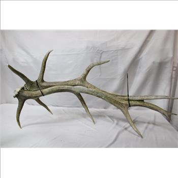 Antler Decor, 2 Pieces