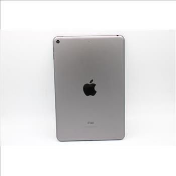 Apple IPad Mini (5th Gen), 256GB, Wi-Fi Only