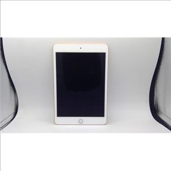 Apple IPad Mini (5th Gen), 256GB, Wi-Fi Only