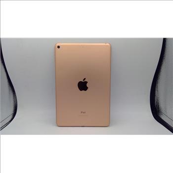 Apple IPad Mini (5th Gen), 256GB, Wi-Fi Only