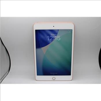 Apple IPad Mini 5th Gen, 64GB, Unknown Carrier