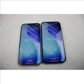 Apple IPhone Lot, 2 Pieces, Sold For Parts