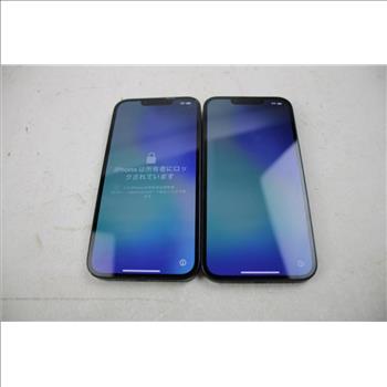 Apple IPhone Lot, 2 Pieces  Sold For Parts