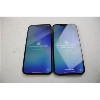 Apple IPhone Lot, 2 Pieces, Sold For Parts