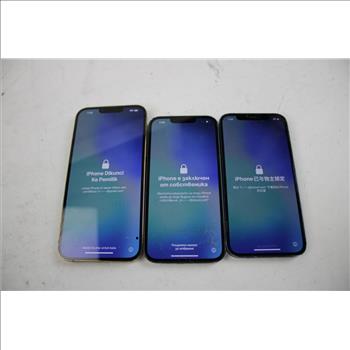 Apple IPhone Lot, 3 Pieces  Sold For Parts