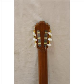 Aria Acoustic Guitar