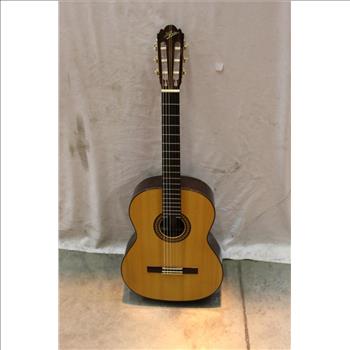 Aria Acoustic Guitar