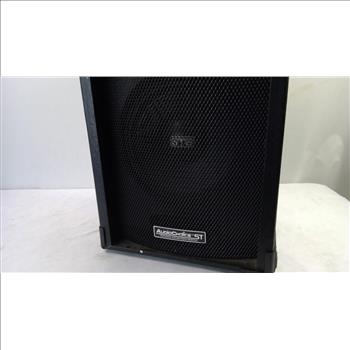 AudioChoicE St, Professional Audio, Speaker