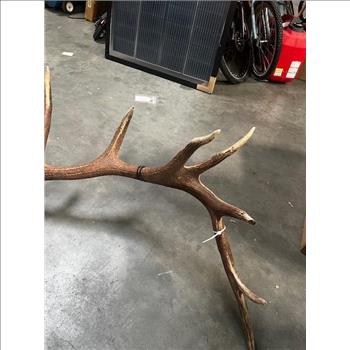 Authentic Elk Antlers