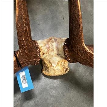 Authentic Elk Antlers