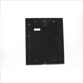 Autographed Framed 8x10 Photo Mark Van Eeghen