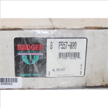 Badger Pistons P557-030 Cyl Piston Set