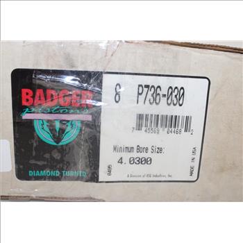 Badger Pistons P736-030 Cyl Piston Set