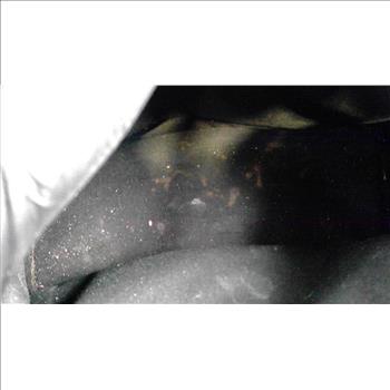 Balenciaga Hand Bag - Doublechecked By Entrupy