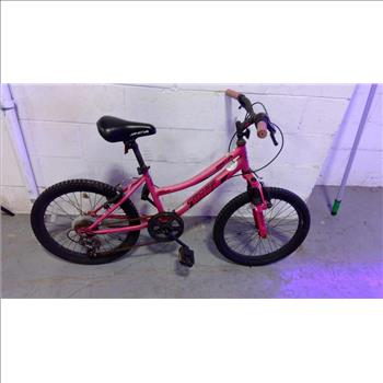 BCA Mountain Bike