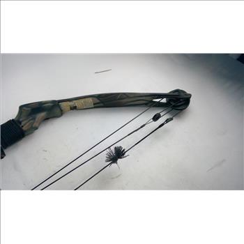 Bear Compound Bow