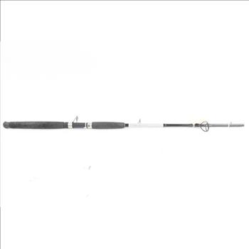 Berkley Fusion Fishing Rod