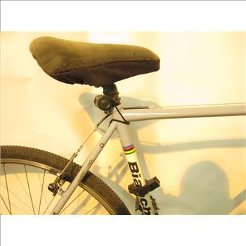 Bianchi San Jose Fixie Bike