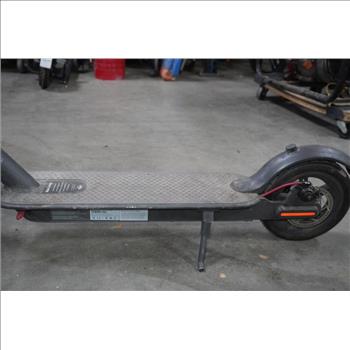 Bird Black Electric Scooter