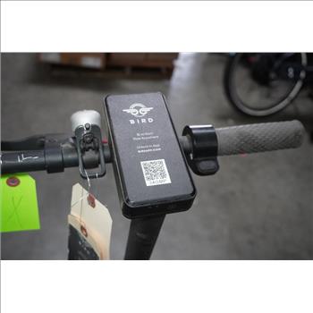 Bird Black Electric Scooter