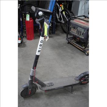 Bird Black Electric Scooter