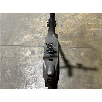 Bird Electric Kick Scooter