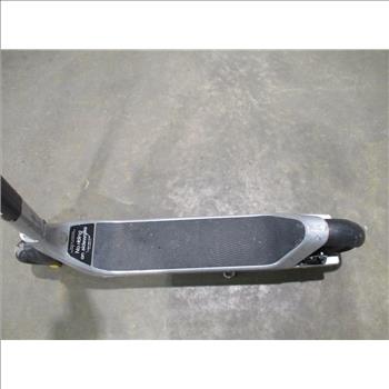 Bird Electric Scooter