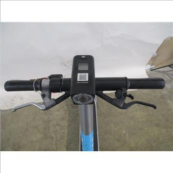 Bird Electric Scooter