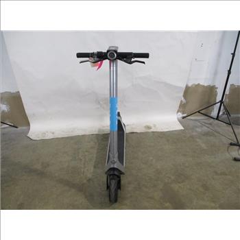Bird Electric Scooter