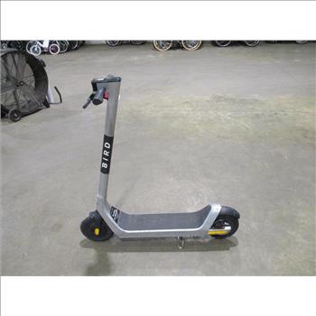 Bird Electric Scooter