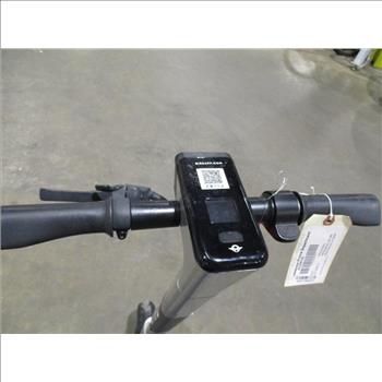 Bird Electric Scooter