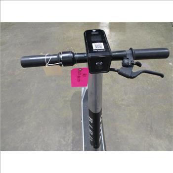 Bird Electric Scooter