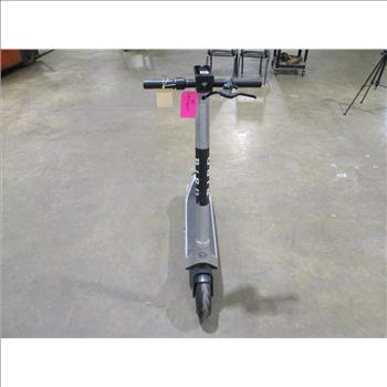 Bird Electric Scooter
