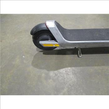 Bird Electric Scooter