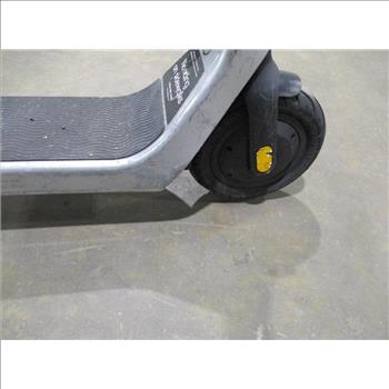 Bird Electric Scooter