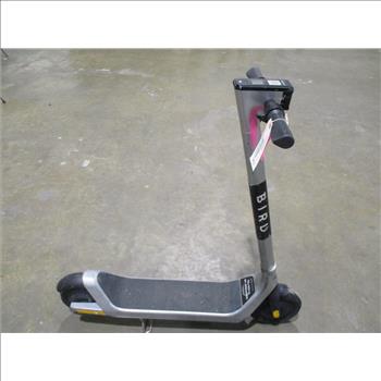 Bird Electric Scooter