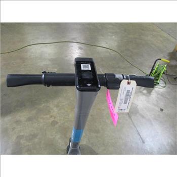 Bird Electric Scooter