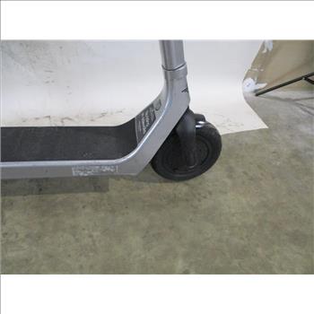 Bird Electric Scooter