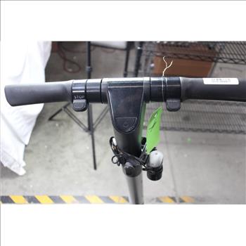 Bird Electric Scooter