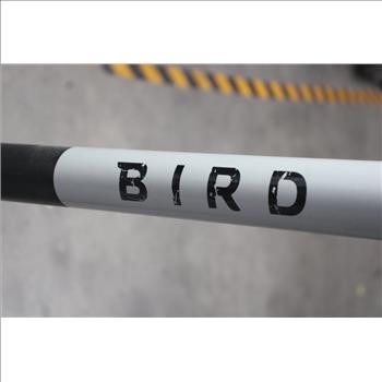Bird Electric Scooter