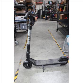 Bird Electric Scooter