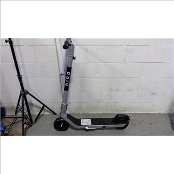 Bird Electronic Scooter